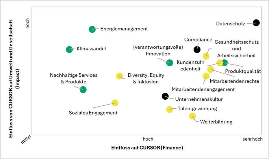 Grafik zur Wesentlichkeitsanalyse
